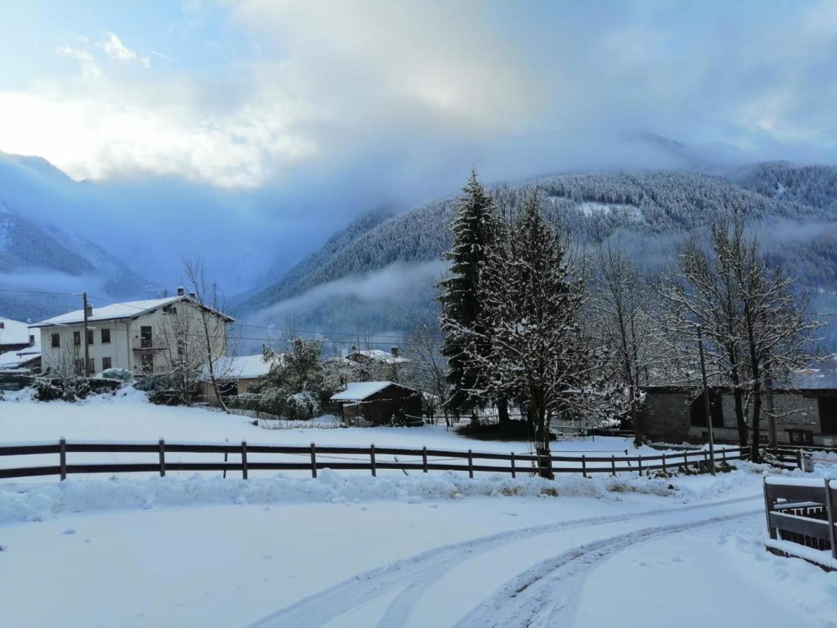 Appartamento Pian Di Neve Temù Eksteriør billede